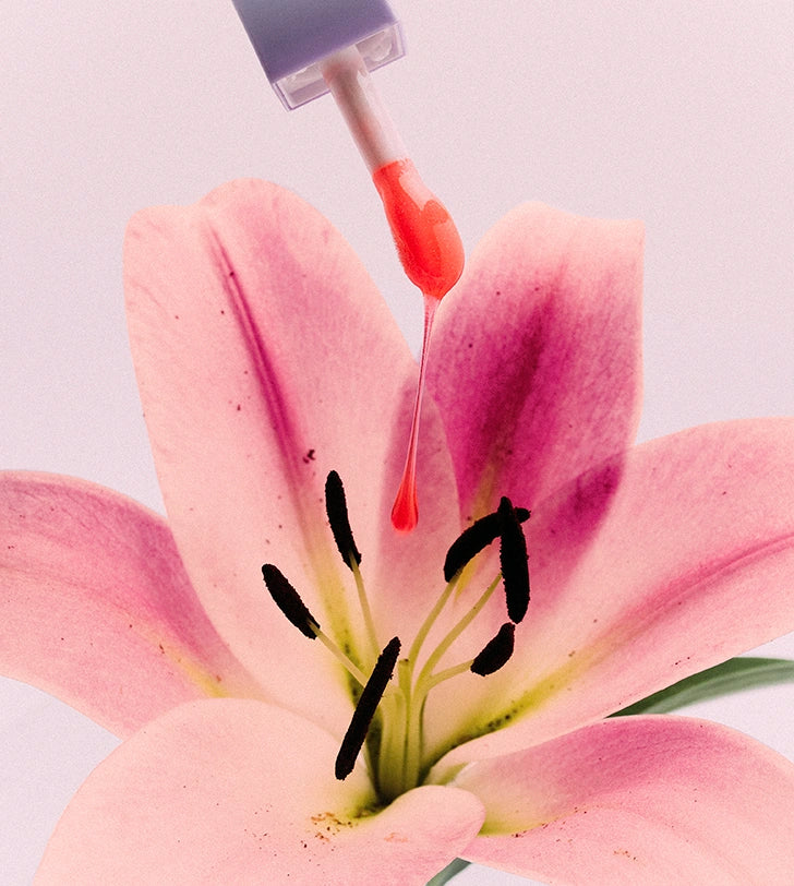 LILY SPARK Ultimate Nourishing Lip Oil Gloss